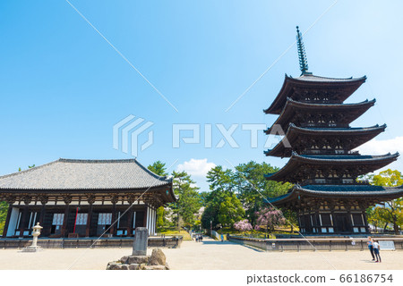 2020年4月Kofukuji寺，Togane Hall和五島寶塔的風景（奈良縣奈良市） 66186754