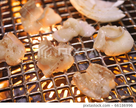 伊賀牛肉激素（Tecchan） 66186996