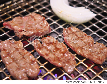 Iga beef yakiniku (rib loin) 66187097
