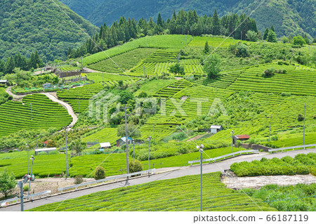 [岐阜的天空中的馬丘比丘茶園]岐阜縣I美郡I川町春日六鄉 66187119