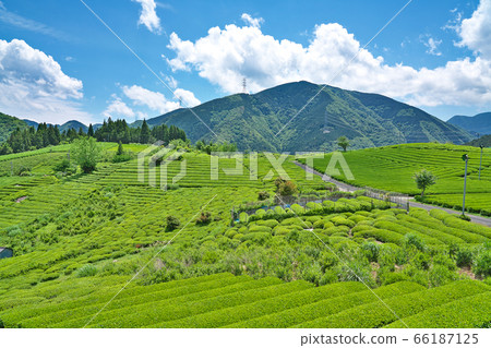 [岐阜的天空中的馬丘比丘茶園]岐阜縣I美郡I川町春日六鄉 66187125