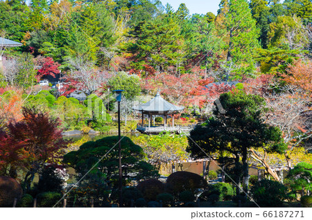 Autumn scenery at Naritasan Park Autumn (Naritasan Shinshoji Temple, Narita City, Chiba Prefecture) November 2019 66187271