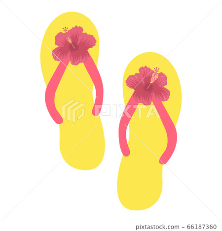 Illustration of hibiscus flip flops Illustration of hibiscus flip flops 66187360