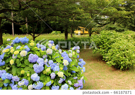 東村山經過北山公園的火車 3 照片素材 圖片 圖庫
