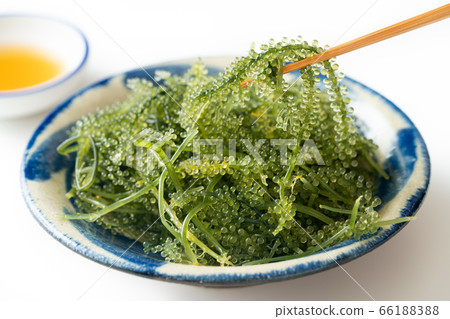 海葡萄80克 海葡萄80克 66188388