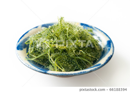 Sea grapes 80 grams 66188394