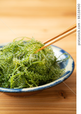 海葡萄80克 海葡萄80克 66188400