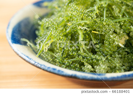 海葡萄80克 海葡萄80克 66188401