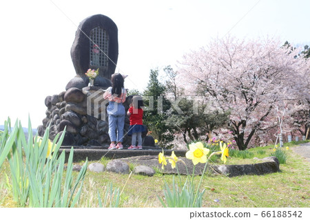 Sisters praying 1 66188542