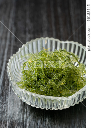 海洋葡萄 海洋葡萄 66188545