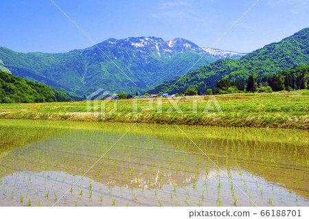 山里和客家山 山里和客家山 66188701