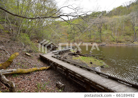 大沼花園長廊風景 大沼花園長廊風景 66189492