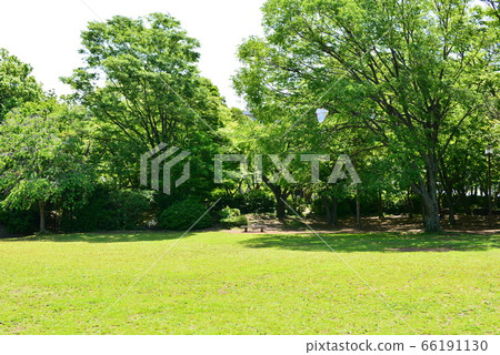 茅崎中央公園 茅崎中央公園 66191130