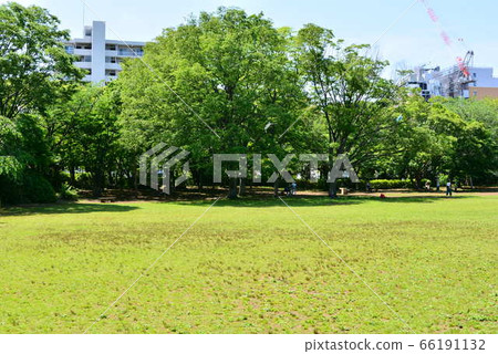 茅崎公園 茅崎公園 66191132