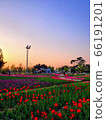 flower garden 66191201