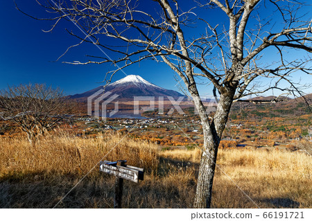 從富士山看富士山和山中湖 66191721