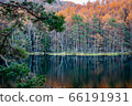 秋天的樹葉 66191931