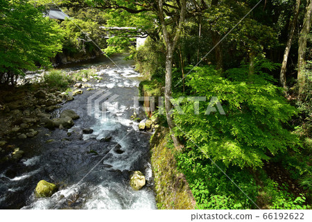 Oga gorge of fresh green 66192622