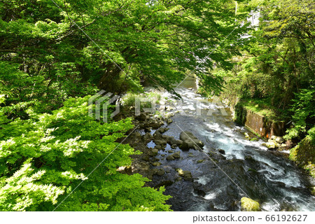 Oga gorge of fresh green Oga gorge of fresh green 66192627