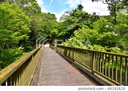 Oga gorge of fresh green Oga gorge of fresh green 66192628