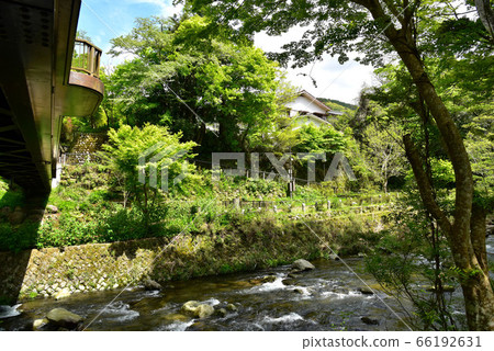 Oga gorge of fresh green 66192631