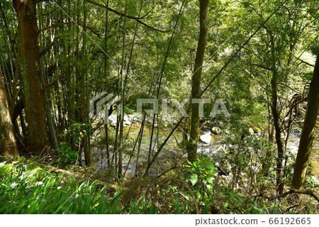 Oga gorge of fresh green Oga gorge of fresh green 66192665