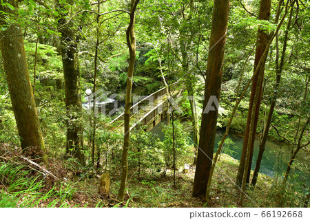 Oga gorge of fresh green Oga gorge of fresh green 66192668