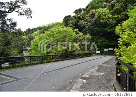 Oga gorge of fresh green 66192691