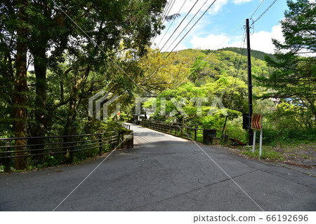 Oga gorge of fresh green 66192696