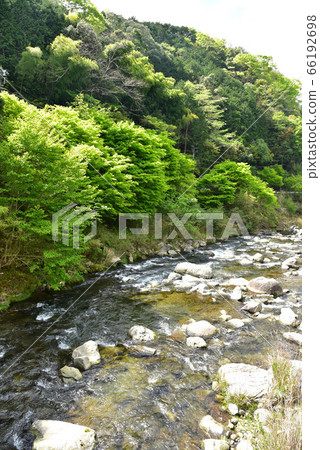 Oga gorge of fresh green 66192698