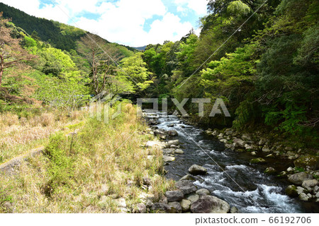 Oga gorge of fresh green 66192706