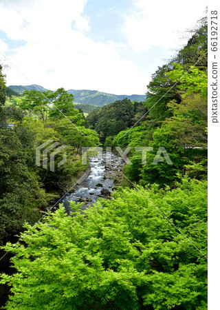 Oga gorge of fresh green Oga gorge of fresh green 66192718