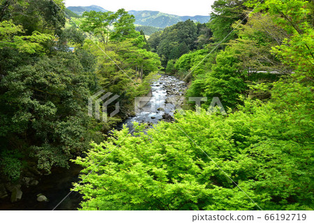 Oga gorge of fresh green 66192719