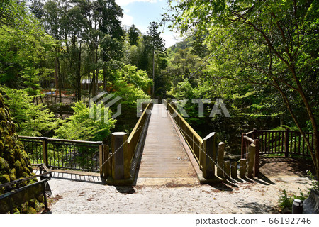 Oga gorge of fresh green Oga gorge of fresh green 66192746