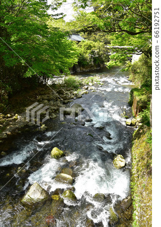 Oga gorge of fresh green 66192751