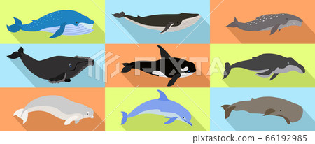 Whale icons set, flat style 66192985