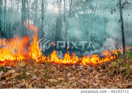 Australia bushfires, The fire is fueled by wind 66193711