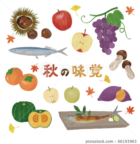Autumn taste apples chestnuts, persimmons, pumpkins, pears, grapes, mushrooms, yam, salt-grilled ginkgo, maple 66193963