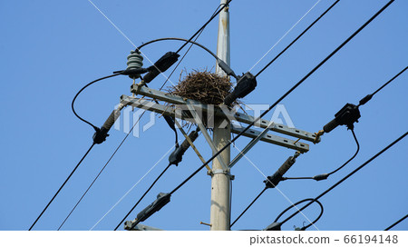 a nest built on a telephone pole. a nest built on a telephone pole. 66194148