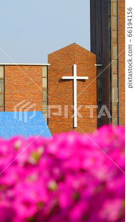 A blurry-looking Petunia and a clear-looking cross. A blurry-looking Petunia and a clear-looking cross. 66194156