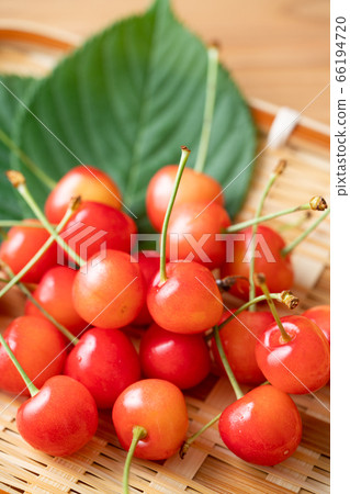 Cherry Sato Nishiki in a basket 66194720