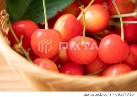 櫻桃佐藤錦在籃子裡 66194730