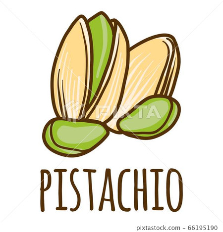 Pistachio icon, hand drawn style Pistachio icon, hand drawn style 66195190
