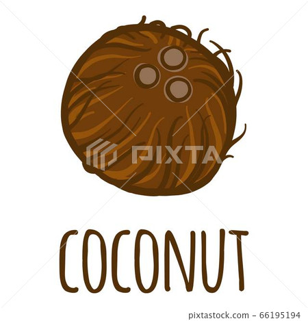 Coconut icon, hand drawn style Coconut icon, hand drawn style 66195194