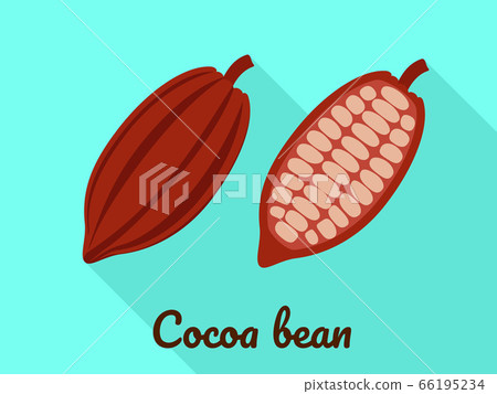 Cocoa bean icon, flat style Cocoa bean icon, flat style 66195234