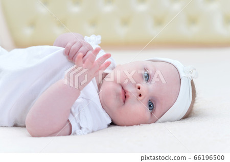 Cute little baby girl lying on her back 66196500
