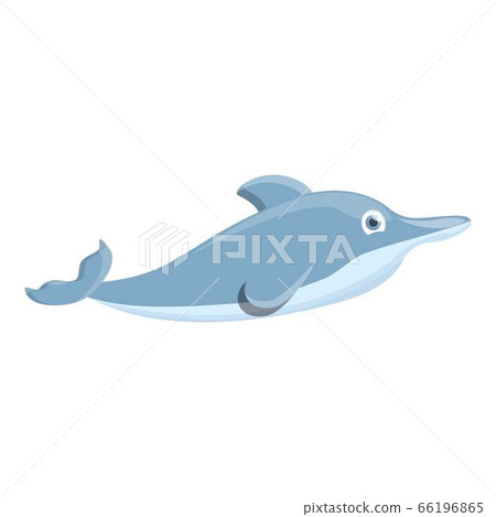 Friendly dolphin icon, cartoon style Friendly dolphin icon, cartoon style 66196865