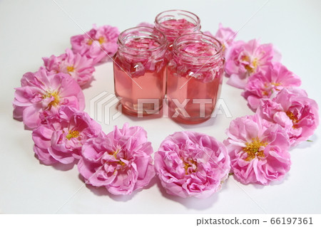 Rose cordial 66197361