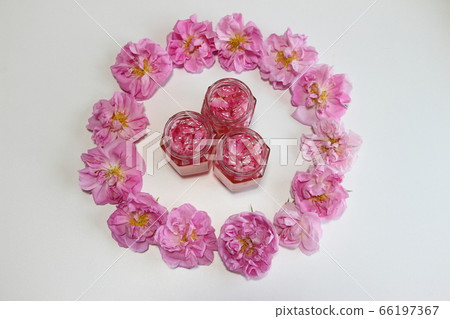 Rose cordial Rose cordial 66197367