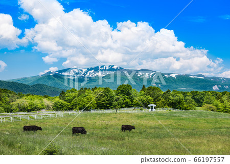 Mt. Kurikoma Snow remaining in Koma and a ranch on a plateau 66197557